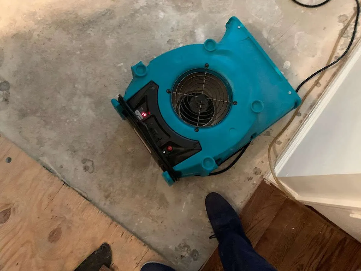 Air mover drying subfloor during Leak Detection & Repair in Sawmills